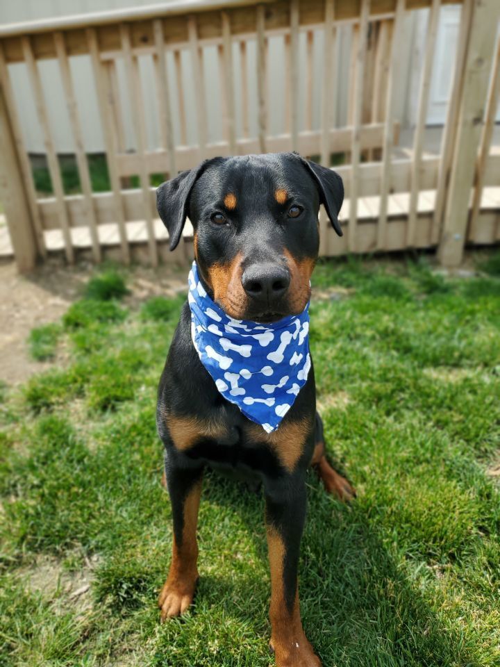 Jax